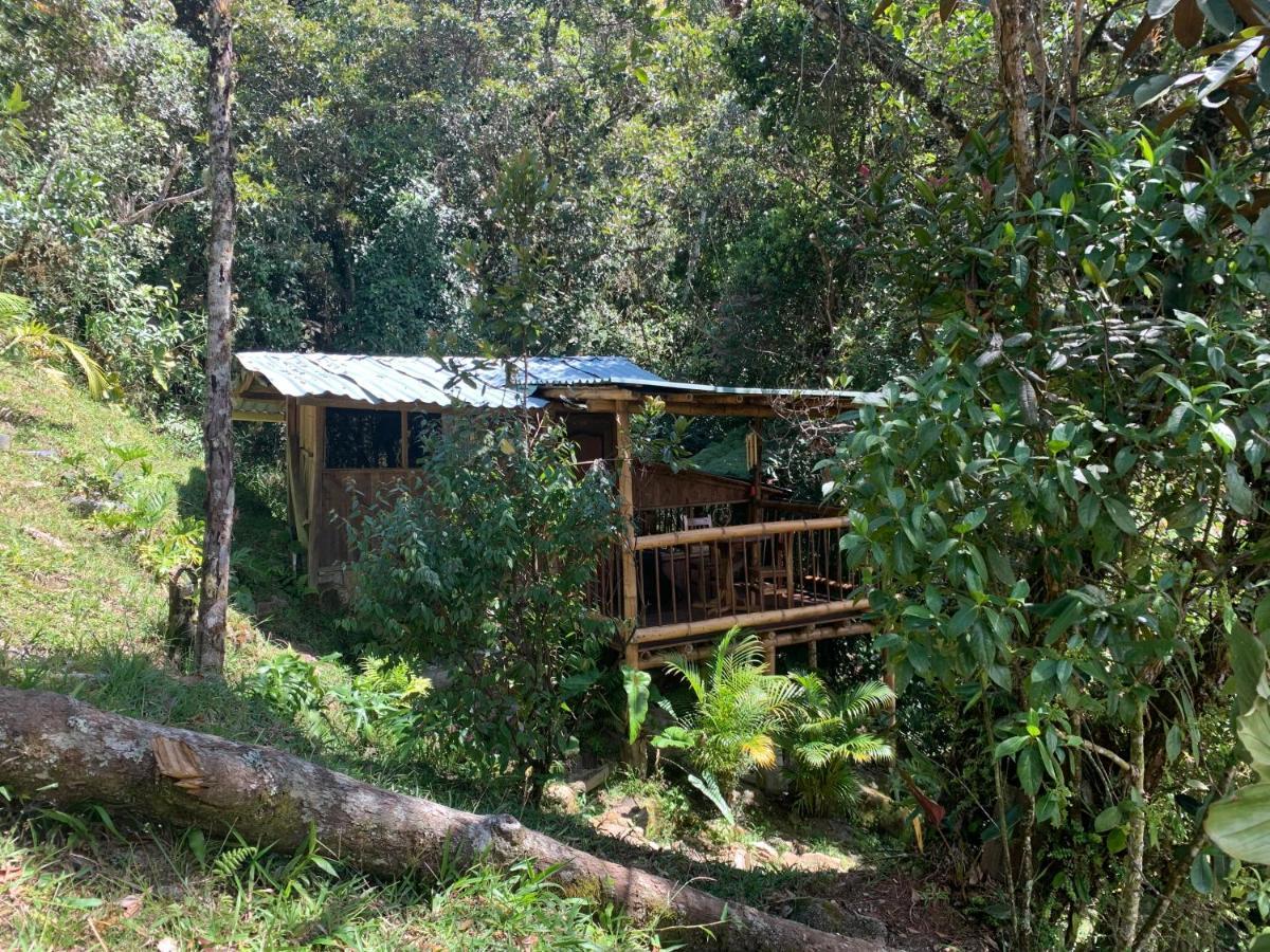 La Casa De Loto Retreat Guatapé Buitenkant foto
